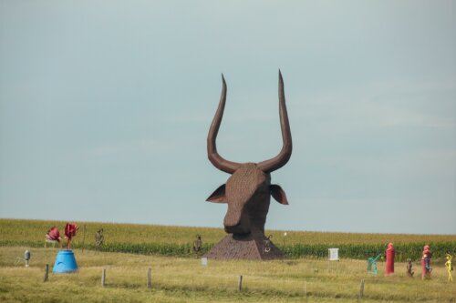 The things you see in South Dakota as your driving through!