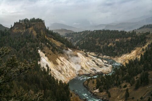 Yellowstone river.