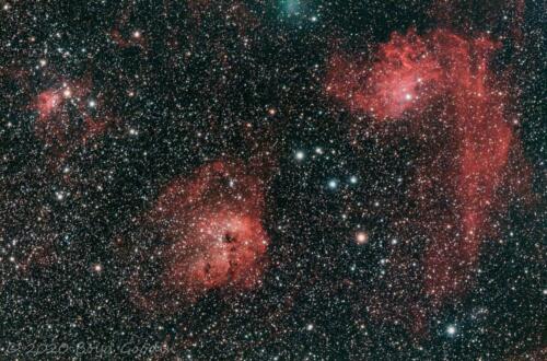 Flaming Star Nebula