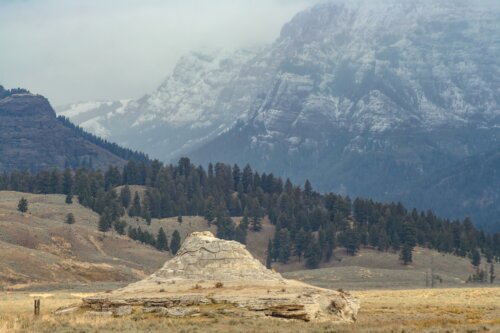 Soda Butte